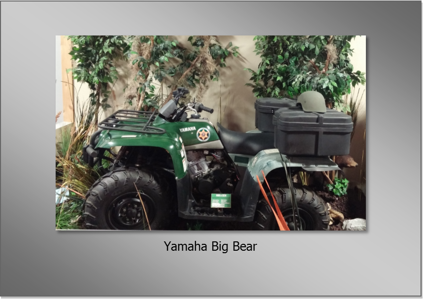 Yamaha Big Bear