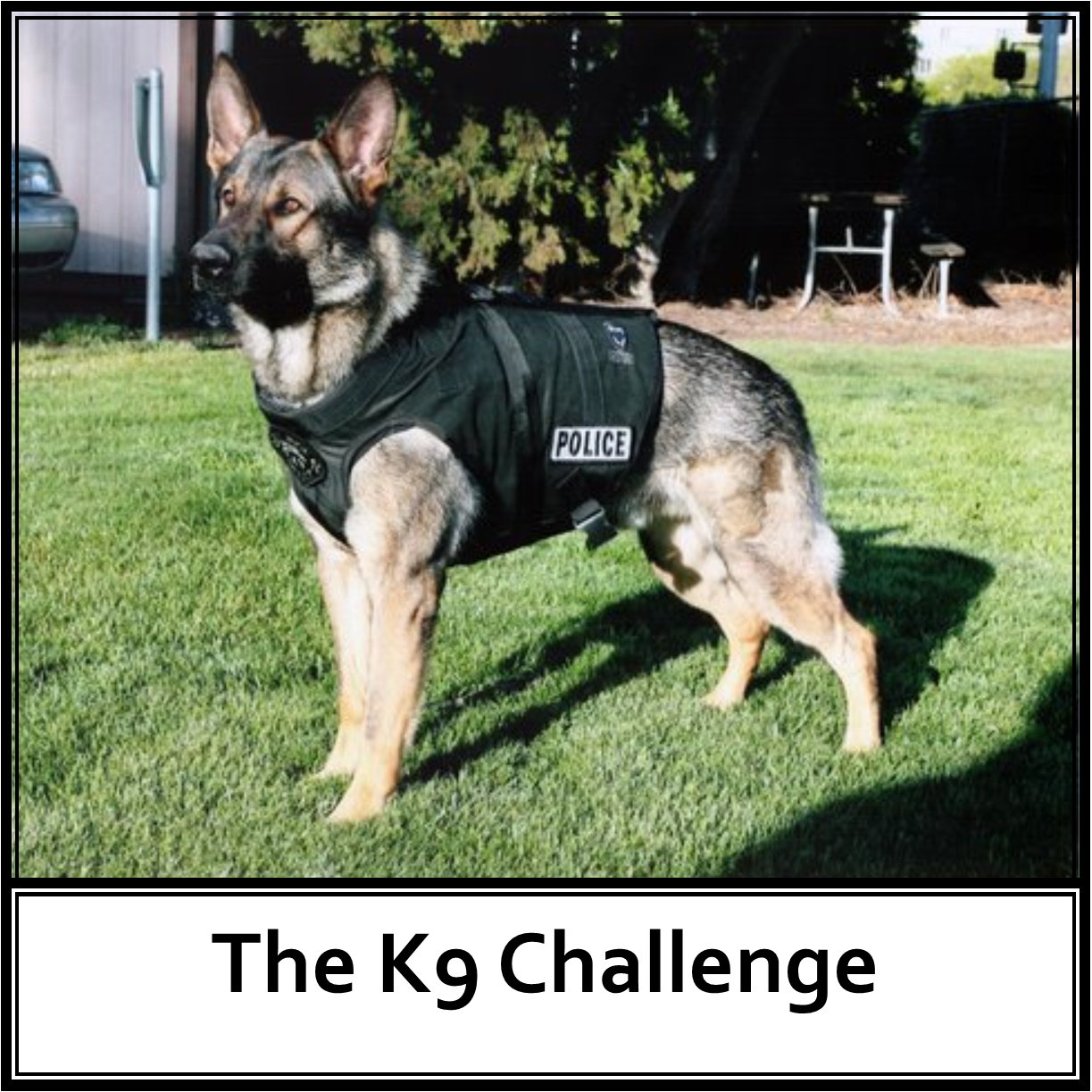 K9 Challenge
